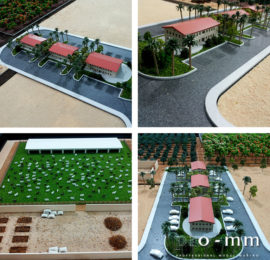Saudi Farm 2013
